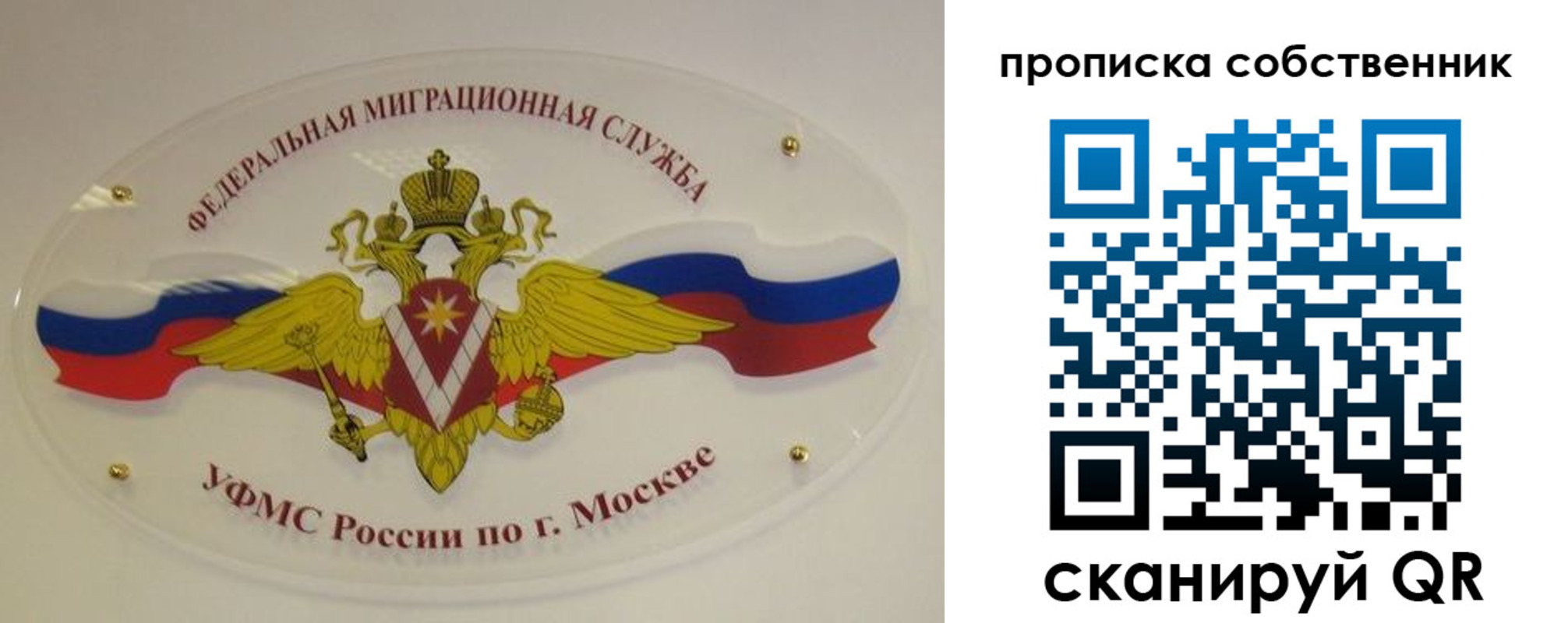 прописка 2025 в Павловске